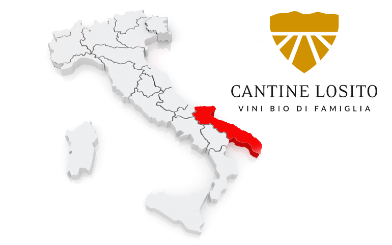 Drinking in Autumn:  The perfect Wines to Indulge