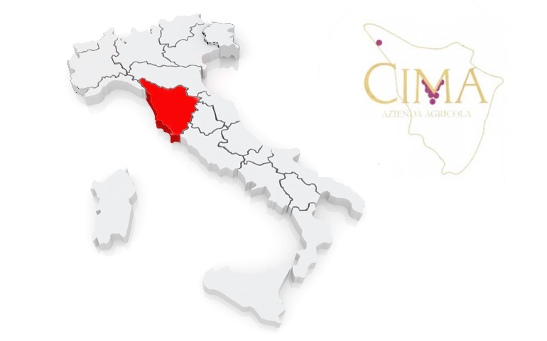 The Best Wines Are The Ones We Drink With Friends