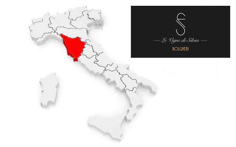 Drinking in Autumn:  The perfect Wines to Indulge