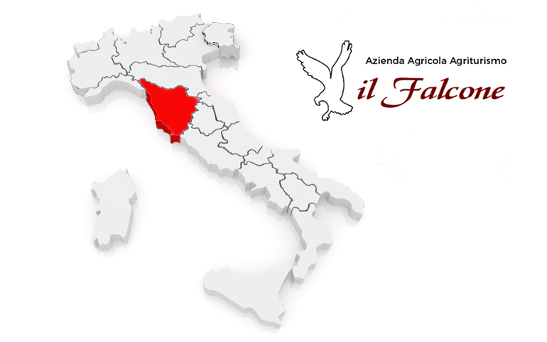 The Best Wines Are The Ones We Drink With Friends