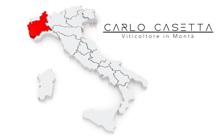 How to Pair Different Wines with Your Favorite Food